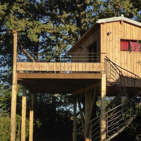 La Cabane Perchee Du Faucon Frechou-Frechet Kültér fotó