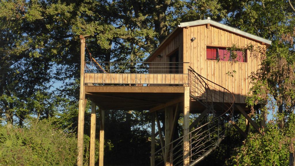 La Cabane Perchee Du Faucon Frechou-Frechet Kültér fotó